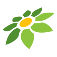 PASAR303